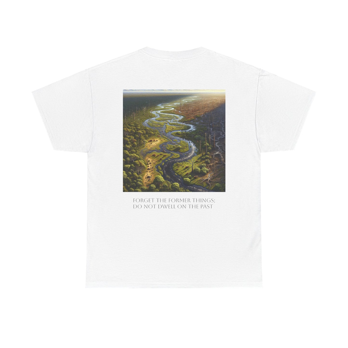 Isaiah 43:18 Faith Tee - Heavy Cotton